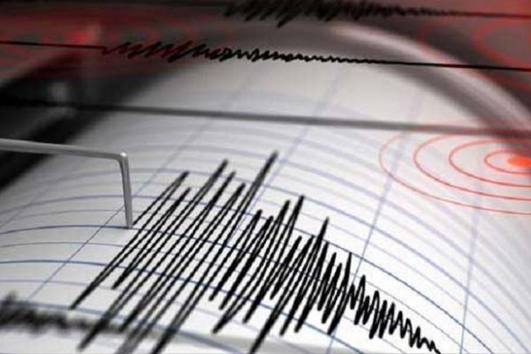 Gempa bermagnitudo 8,0 mengguncang Papua Niugini dan Kepulauan Solomon, Minggu (22/1/2017) sore.