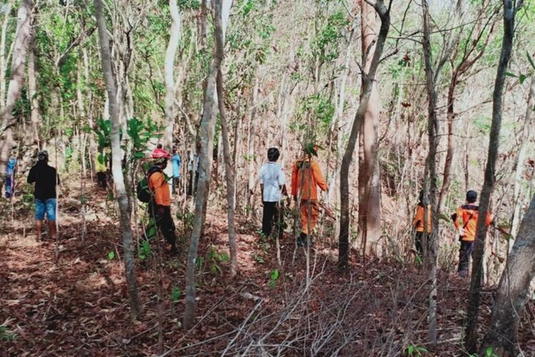 Tim SAR gabungan mencari Marto Markiyem, seorang nenek yang hilang di Hutan Wonosadi, Ngawen, Gunungkidul sejak tiga hari yang lalu.