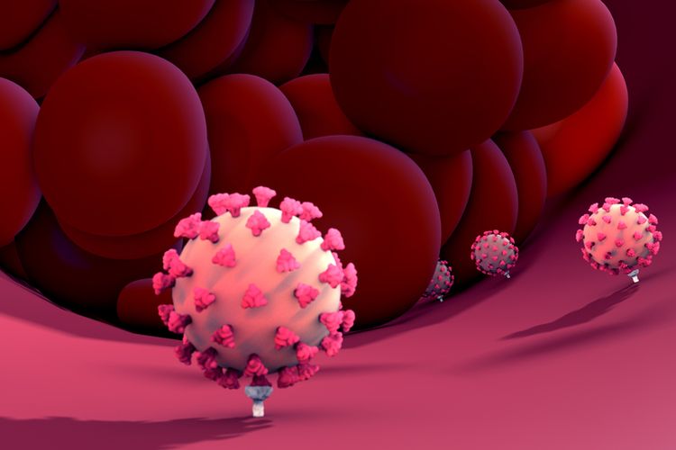 Ilustrasi virus corona menyebabkan pembekuan darah.