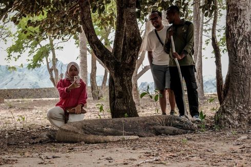 Wisatawan Wajib Didampingi Pemandu Saat Berkunjung ke TN Komodo