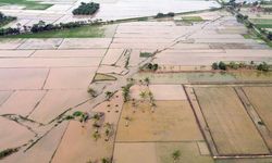 Satgas PRR Percepat Rehabilitasi Sawah, Jamin Pasokan Beras dan Ketahanan Pangan Wilayah Terdampak