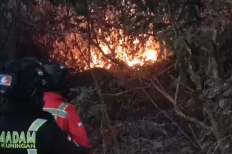 BTNGC, BPBD dan Damkar Kabupaten Kuningan Jawa Barat berusaha memadamkan kobaran api di Kecamatan Pasawahan yang masuk area Taman Nasional Gunung Ciremai, Jumat (25/8/2023)