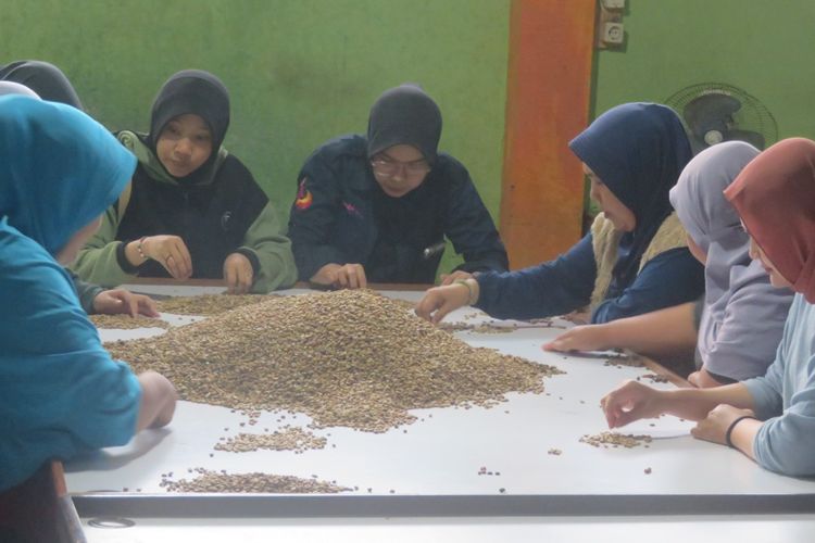Edukasi Kopi di Sekolah Acarya di Lampung Barat
