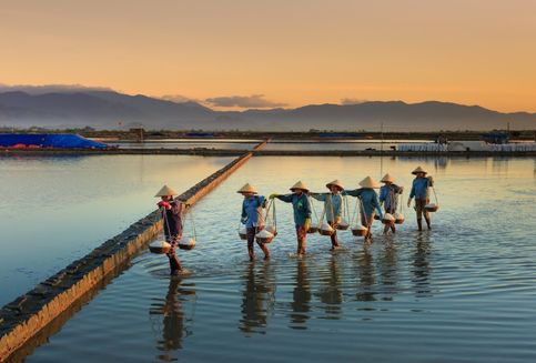 Portofolio Pembiayaan Berkelanjutan BRI Capai Rp 842,1 Triliun, Ini Dampaknya