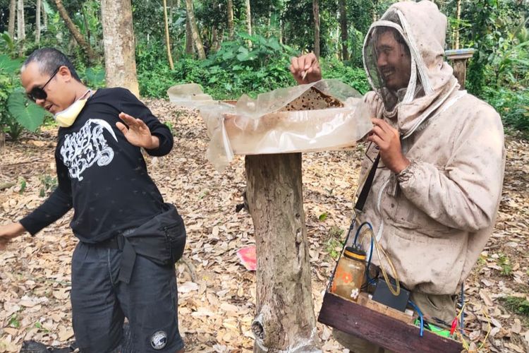 Peternak madu kele atau klanceng asal Mengwi, Badung, Bali, Made Riawan (34).