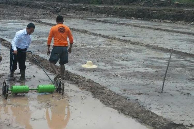 Menteri Pertanian Andi Amran Sulaiman saat melakukan penyemaian benih padi organik di Desa Bukit Langkap, Kabupaten Lingga, Provinsi Kepulauan Riau, Rabu(7/9/2016).