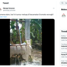 Viral, Video Air Sumur Meluap di Wonogiri, Begini Kata Pakar