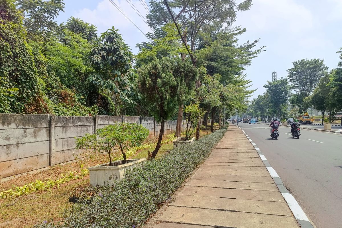 Tanaman hias di sepanjang Jalan Pintu 1 TMII, Jakarta Timur, yang ditanam oleh Sudin Tamhut Jakarta Timur untuk menyambut perhelatan KTT ASEAN pada 5-7 September 2023, Rabu (30/8/2023).