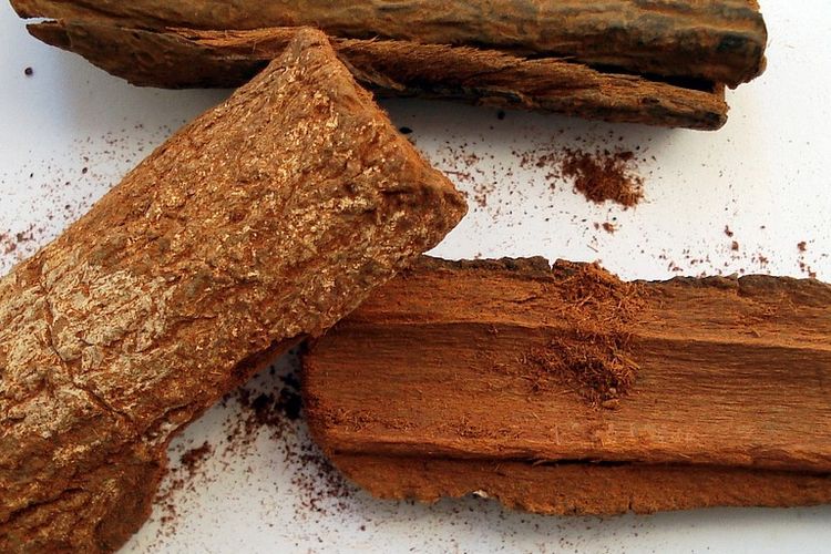 Hasil panen pohon kina