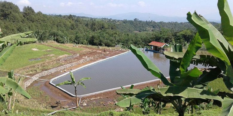 Untuk menangani permasalahan kekeringan akibat El Nino, Kementerian Pertanian sudah mempersiapkan tim khusus penanganan kekeringan. Tim khusus ini akan turun ke lokasi-lokasi kekeringan di wilayah sentra produksi padi.