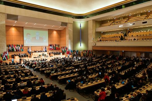 Di Sidang ILO ke-108, Menaker Aktif Sampaikan Gagasan Indonesia