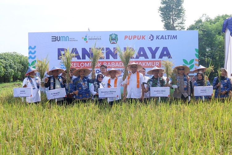 Melalui Program PKT BISA, Pupuk Kaltim?anak usaha holding Pupuk Indonesia?memperkenalkan inovasi sosial yang mengintegrasikan pertanian, peternakan, dan perikanan. 