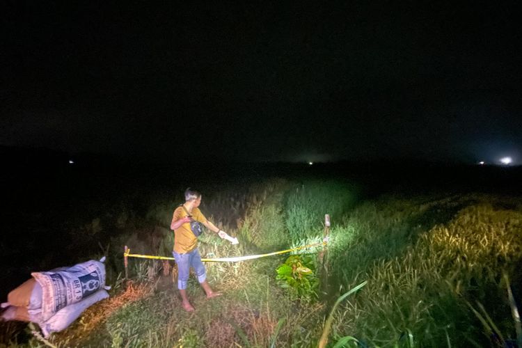 Petani di Blora Ditemukan Meninggal di Sawah, Tersengat Listrik Jebakan Tikus
