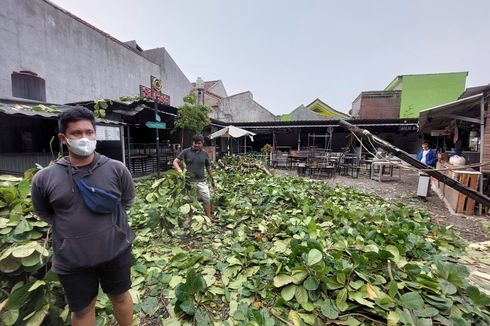 Pohon Tumbang di Pujasera Cipondoh, Pemilik Sebut Kerugian Capai Rp 20 Juta