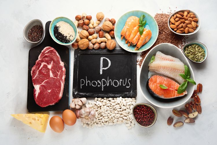 Ilustrasi makanan mengandung fosfor tinggi. Fungsi fosfor penting untuk menjaga kesehatan tulang, gigi, saraf, sampai jantung. 