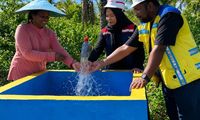 13 Sumur Bor di Pulau Yamdena Bikin Petani Panen Tiga Kali Setahun