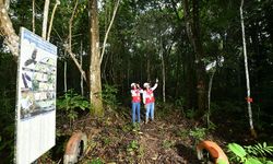 Komitmen MMSGI Menyulap Lahan Pascatambang Jadi Taman Kehidupan di Bumi Mahakam