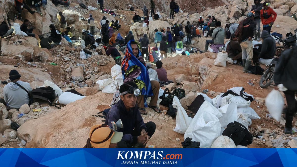 Bisa Raup Rp 3 Juta Semalam, Begini Perjuangan Ribuan Penambang Emas Rakyat Sumbawa
