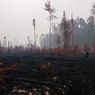 Penyebab Hutan Gundul