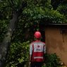 89 Rumah Warga di Pangkalpinang Rusak Diterjang Puting Belitung, Peringatan Dini Sampai 16 September