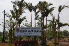 LIPI: Pada 2045, Indonesia Punya 47 Kebun Raya Daerah