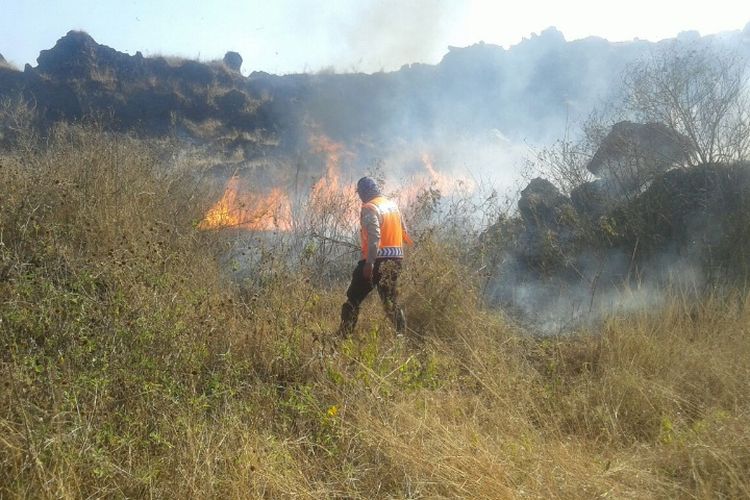 Petugas gabungan melakukan pemadaman semak-semak yang terbakar di kawasan Gunung Cikuray yang berada di jalur pendakian, Rabu (13/9/2017) siang.