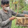 Itinerary 2 Hari 1 Malam Wisata Edukasi di Bogor Sama Anak, Bisa ke Mana Saja?