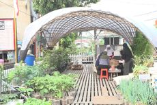 Program BRInita Sukses Jadikan Kelurahan Pajajaran Bandung sebagai Percontohan Urban Farming