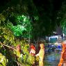 Hati-hati, Banyak Pohon Tumbang Saat Hujan Deras Disertai Angin Kencang di Jakut