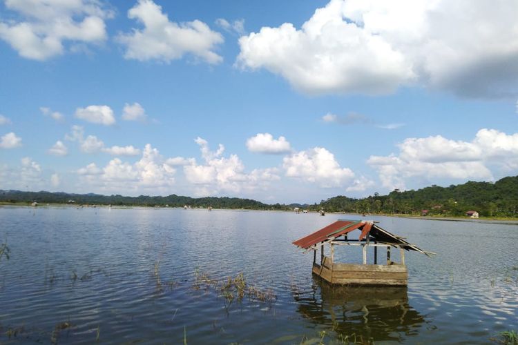 Sawah warga Dusun Kiri Rejo, Kelurahan Lempake Kecamatan Samarinda Utara sejak pekan lalu bagai danau. Ketinggian air mencapai 1-2 meter, Jumat (17/1/2020).