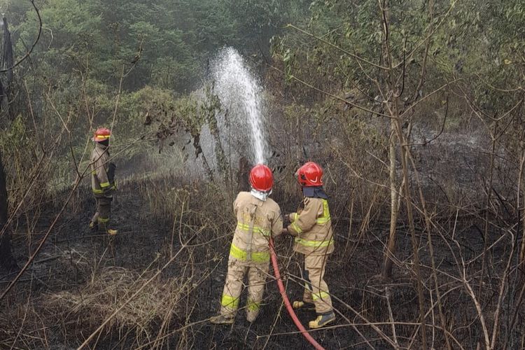 Diduga Bakar Sampah Sembarangan, Lahan 2 Hektare di Parung Panjang Bogor Terbakar