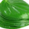 Hilangkan Bau Badan dengan Daun Sirih, Begini Caranya
