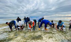 PLTU Bolok Lestarikan Lingkungan, Tanam Mangrove di Pantai Mumutula