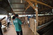 Dari Mustahik ke Muzaki, Program Kurban BAZNAS 2026 Ubah Nasib Peternak Desa
