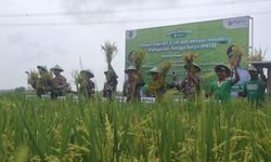 Bukan dari Aspirasi Petani, Kebijakan Pertanian Sulit Kontribusi Pertumbuhan Ekonomi 8 Persen 