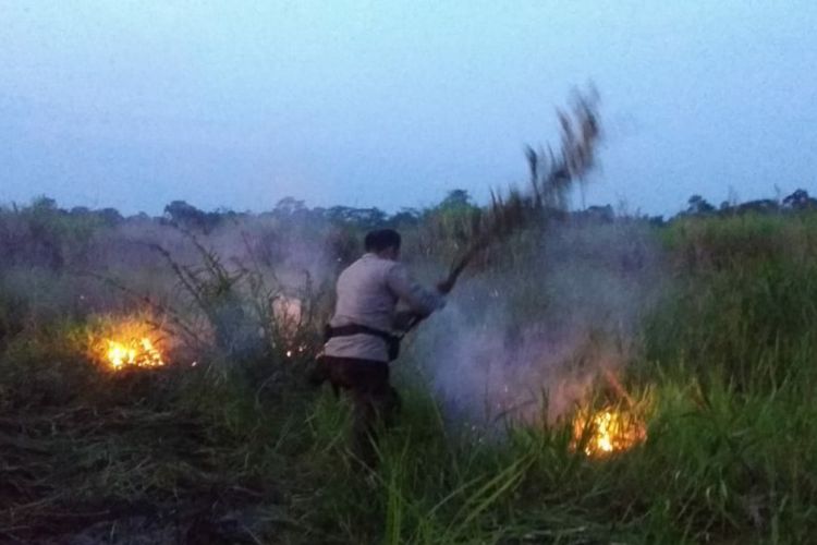 Pemadaman kebakaran lahan gambut dilakukan oleh personil polisi yang dipimpin langsung oleh Kapolres Muaro Jambi AKBP Ardiyanto bersama-sama dengan Kades dan aparatur  Desa Pulau Mentaro, pada Senin (23/2/2021) sore. 