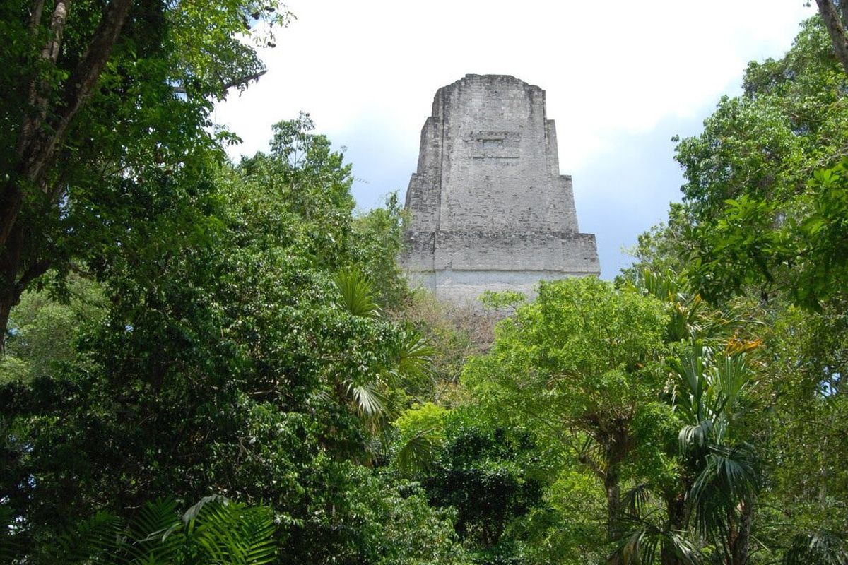 Kota kuno Tikal, merupakan pusat kota dari peradaban Maya.