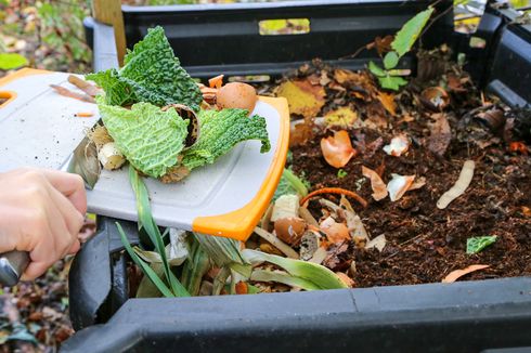 Cara Memanfaatkan Limbah Sayuran dan Buah untuk Pupuk Kompos