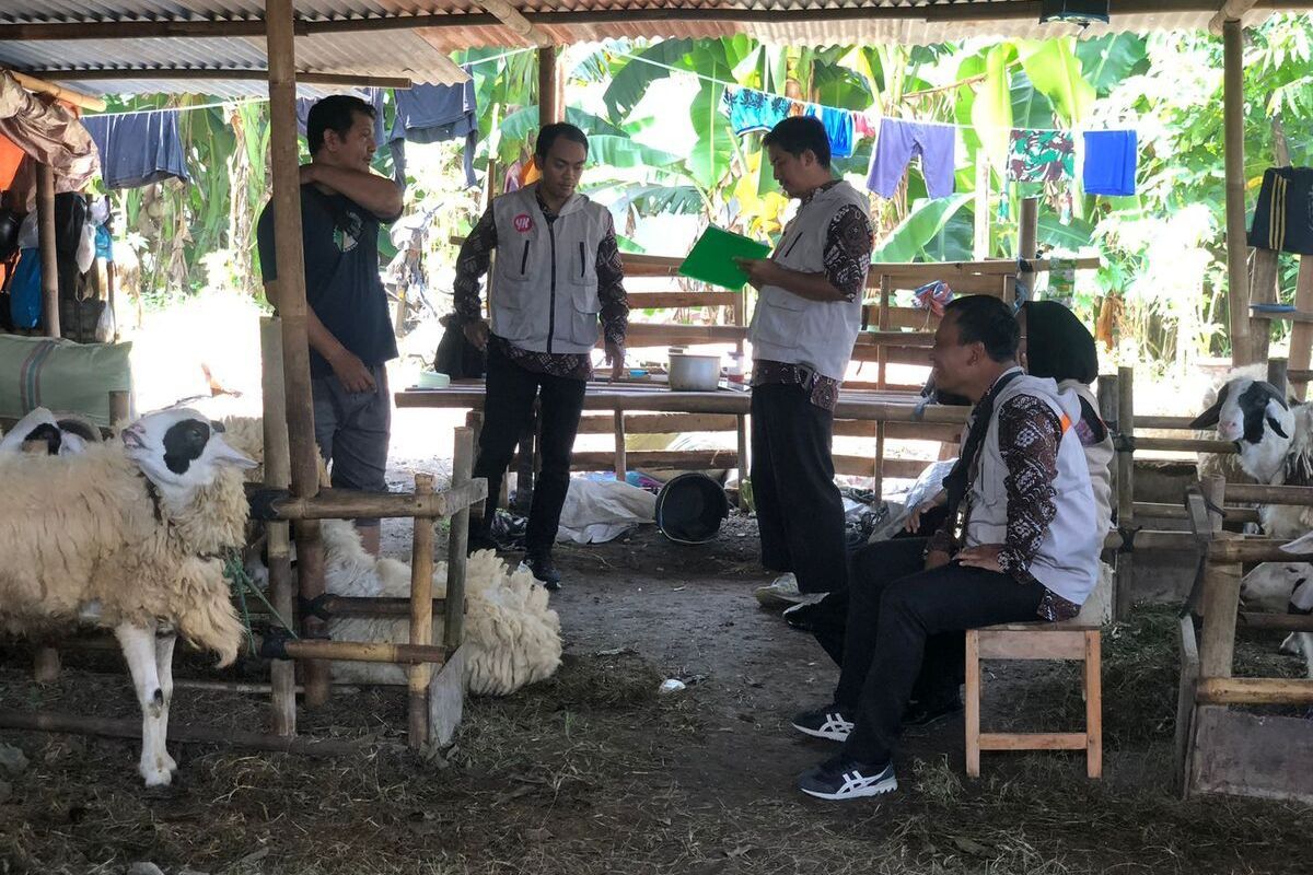 Dokter hewan di Kota Yogyakarta turut periksa kesehatan hewan kurban, Selasa (3/6/2025)