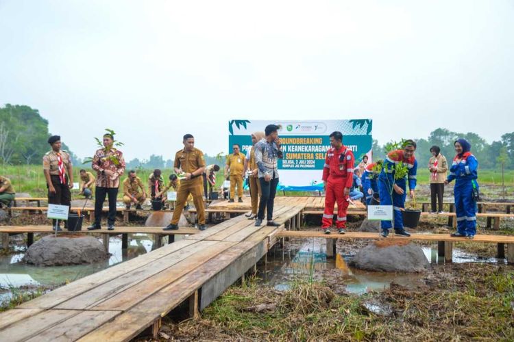 Ground breaking penanaman spesies pohon langka di kawasan kompleks Jakabaring Sport City (JSC) Palembang, Sumatera Selatan. Di lokasi ini, akan ditanam sebanyak 55 pohon langka spesies rawa, Selasa (2/7/2024).