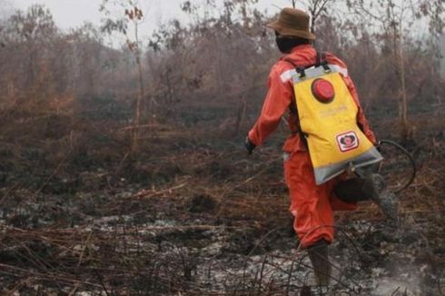 Terkait Kebakaran Hutan, Anak Usaha Sampoerna Agro Digugat Rp 1 Triliun