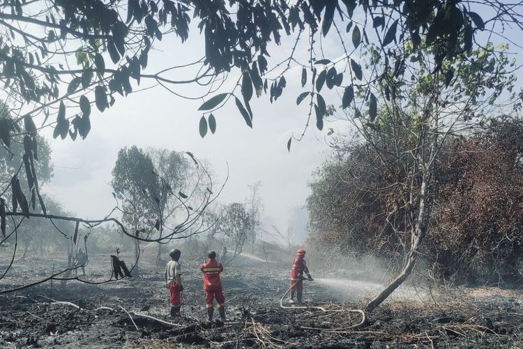 Karhutla 5 Hektare di Kubu Raya, Satgas Berjibaku Padamkan Api Dekat Bandara Supadio