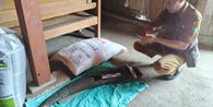 Cari Pasir di Sungai, Warga Gondel Blora Temukan Fosil Kerbau Purba Diduga Berusia 250.000 Tahun