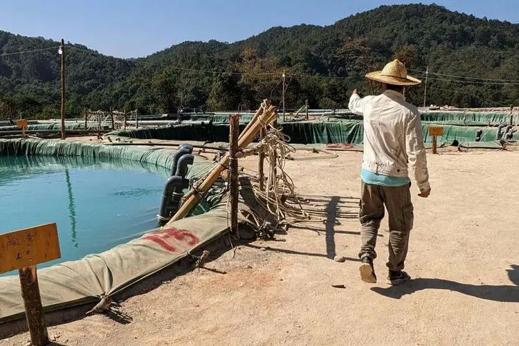 Foto penambangan ilegal di Myanmar.