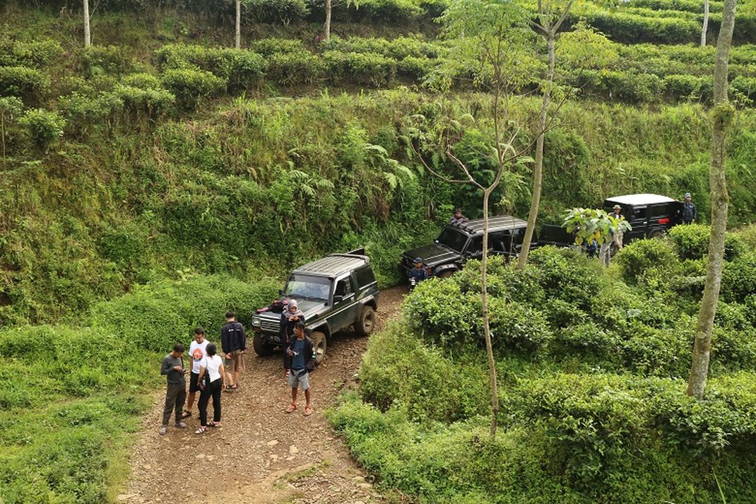 Travel - Mobil Jeep Perkebunan Teh Kertowono, Guci Alit, Lumajang