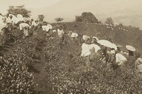 Penyebab Merosotnya Kemakmuran Rakyat Jawa pada Abad ke-19