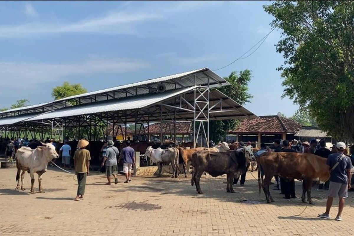 Suasana pasar Hewan Siyono Harjo, Playen, Gunungkidul. Sabtu (12/4/2025)