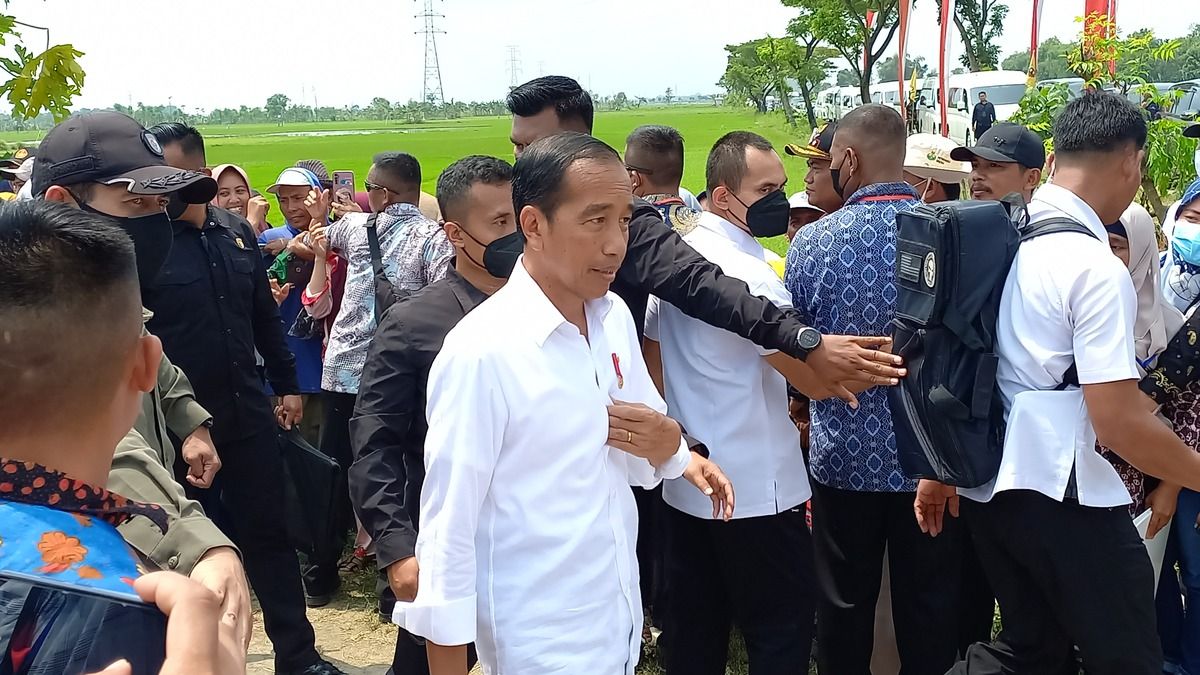 Presiden Jokowi soal Koster Tolak Kontingen Israel di World Beach Games Bali: Saya Belum Dapat Laporan