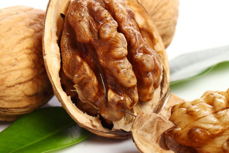 Ilustrasi kacang kenari.