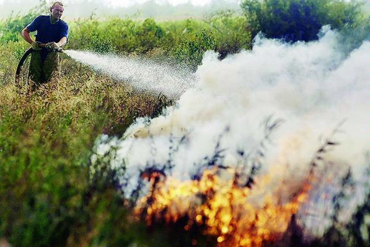 Seorang anggota pemadam kebakaran Rusia berjuang memadamkan api yang melalap hutan di dekat Desa Ryazanovka, di luar ibu kota Rusia, Moskwa, Kamis (29/7). Gelombang panas tak hanya membuat gerah warga Rusia, tetapi juga membuat hutan mudah terbakar.